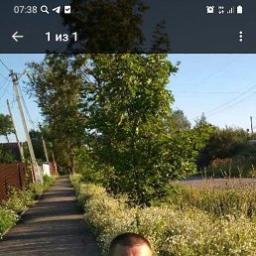  Владимир