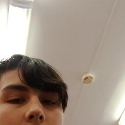  Лис