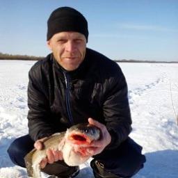  максим