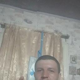  Лев