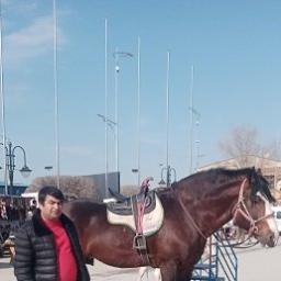  Палванназар