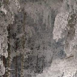  Евгений