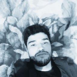  Maksim