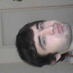  Farid