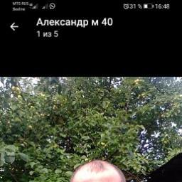  Александр