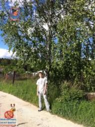  Альтаир