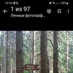  Наталия