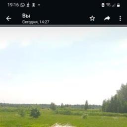  Алена